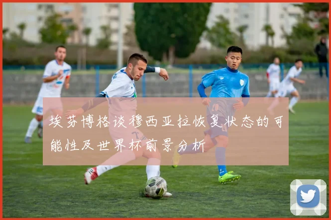 埃芬博格谈穆西亚拉恢复状态的可能性及世界杯前景分析