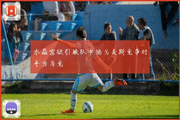 水晶宫欲引狼队中场戈麦斯竞争对手为马竞